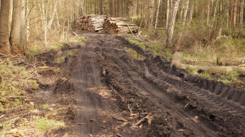 der R10 in Polen der R10 in Polen