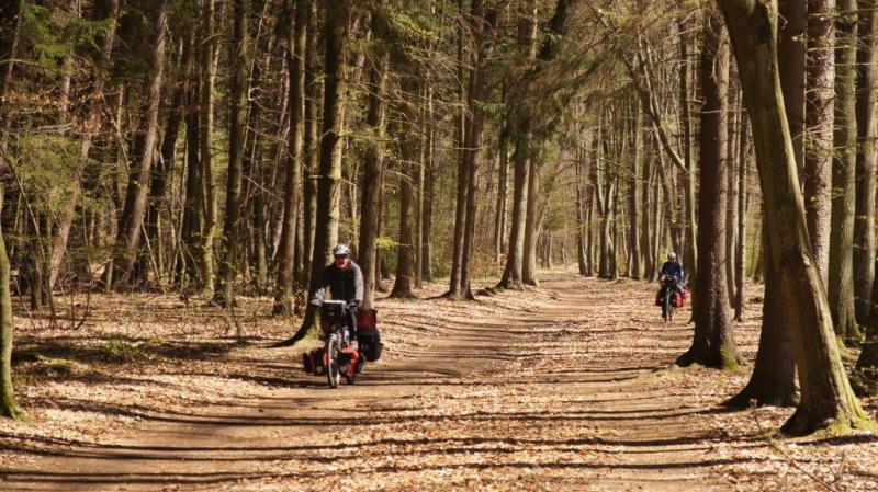 traumhafte Waldwege traumhafte Waldwege